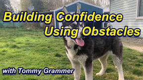 Building Confidence using Obstacles with Husky