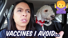 Dog Vaccines I Regret ? Car Vaccination Rant!