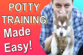 How to Potty Train your Puppy EASILY! 