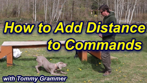 How to add Distance to Commands