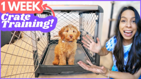 5 Crate Training Steps that ACTUALLY Work ? This is how I crate trained Wally in ONE WEEK ?