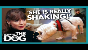Victoria Distressed By Dog TERRIFIED of Wooden Floors | It's Me or The Dog