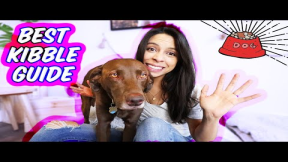 Best Kibble for Dogs // Pet Food Review