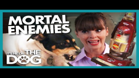 Dog and Vacuum Cleaner Engage in Mortal Combat | It's Me or The Dog