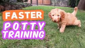 6 Potty Training Secrets NOBODY Shares ? Seriously try these with your puppy!!!