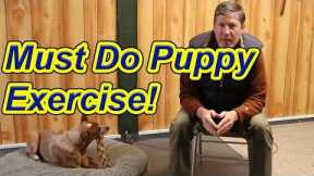 Must do Puppy Exercise- especially for resource guarders