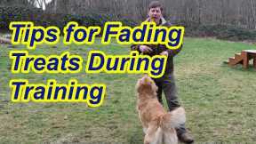 Tips for fading treats in training