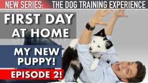My New Puppy: The First Day Home! (NEW SERIES: The Dog Training Experience Episode 2)