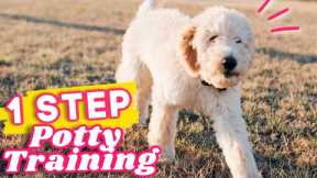 Potty Training a Puppy? WATCH THIS 🐶 1 step to STOP puppy potty accidents