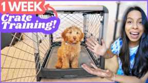 5 Crate Training Steps that ACTUALLY Work 🙌 This is how I crate trained Wally in ONE WEEK 🐶