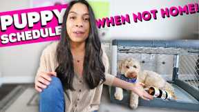 DON'T LEAVE PUPPY HOME ALONE before watching! 👉 Crate & Potty Training Setup!