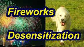 How to desensitize your dog to fireworks