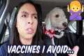 Dog Vaccines I Regret 😬 Car