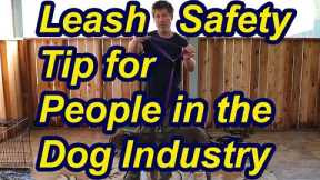 Leash safety tip for people in the dog industry