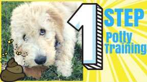 1 STEP: Potty Training for Your New PUPPY! Seriously, Easiest Dog Training Hack that Worked For Me!
