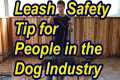 Leash safety tip for people in the