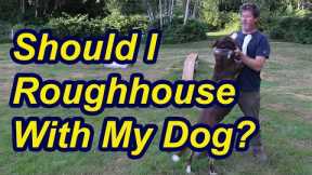 Should you roughhouse with your dog?