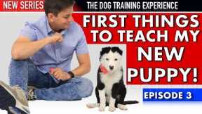 The First Things I’m Teaching My New Puppy! (NEW SERIES: Dog Training Experience Episode 3)
