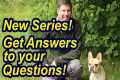 New Series! Ask Me Your Questions