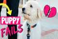 5 New Puppy Mistakes // Goldendoodle